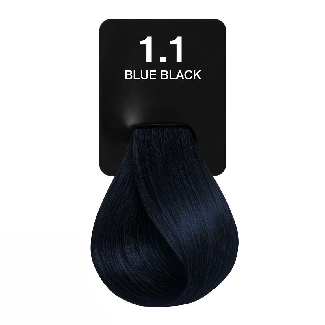 Cream Color 1.1 Blue Black